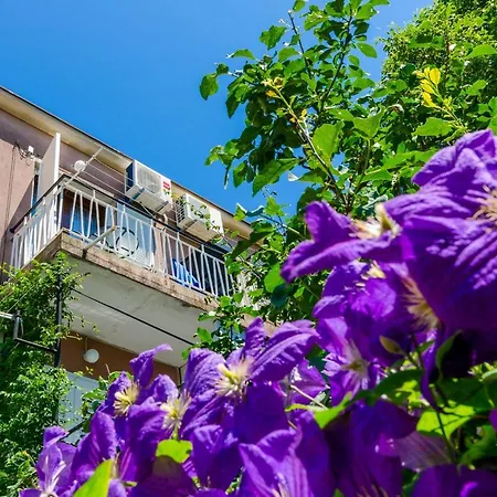 Valentin Apartman *